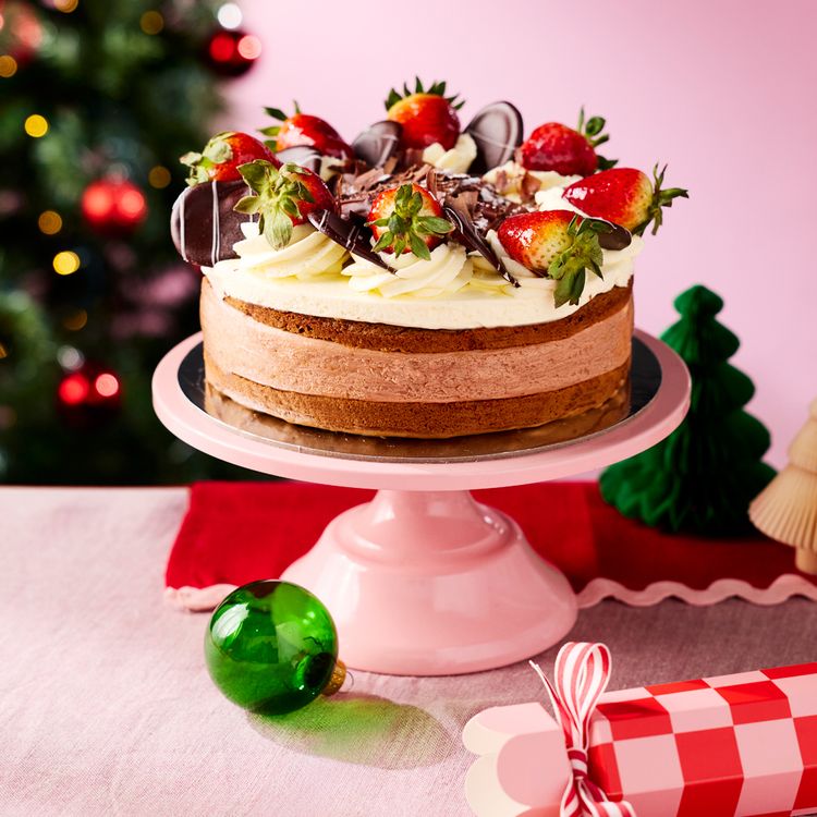 Chocolate Mousse Cake 