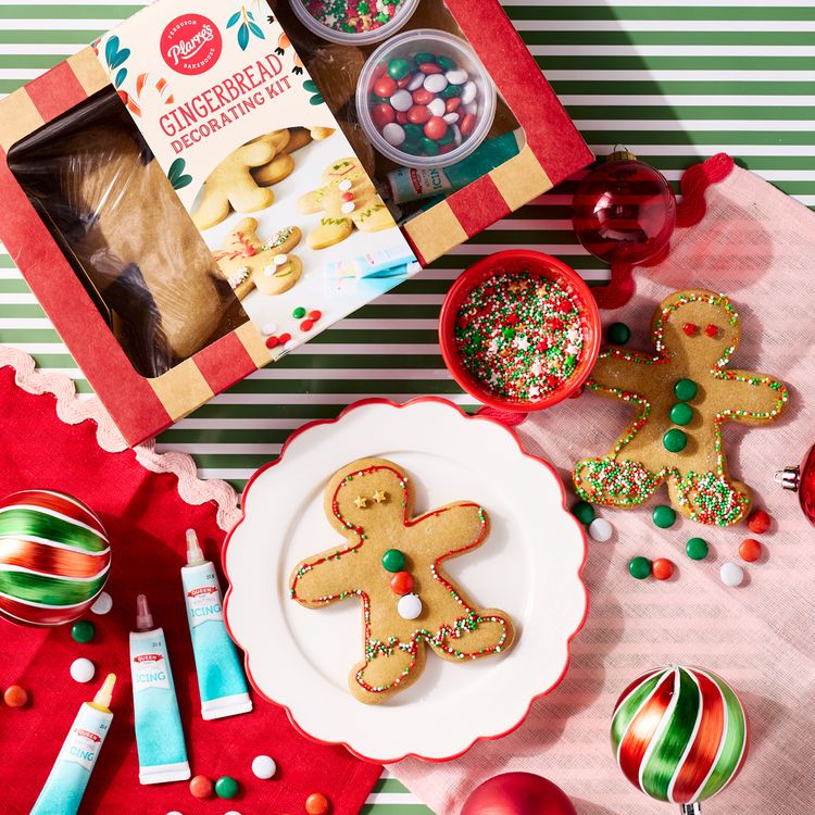 Christmas Gingerbread Decorating Kit
