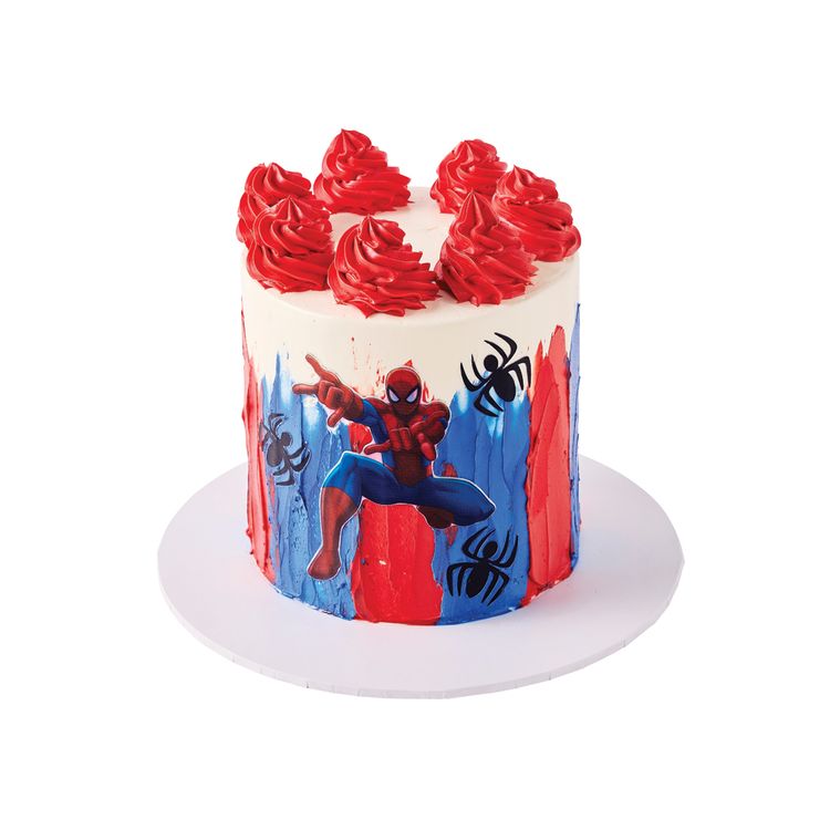 Spiderman Birthday Cake 