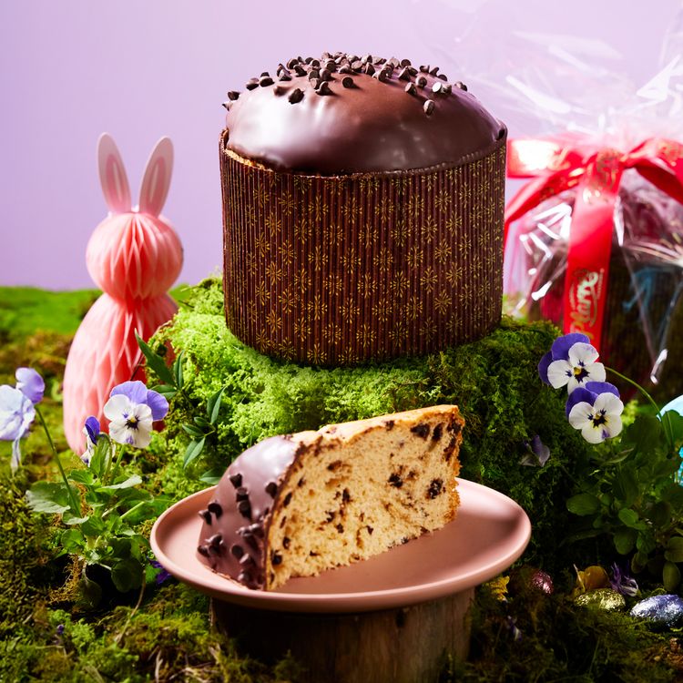 Chocolate Panettone
