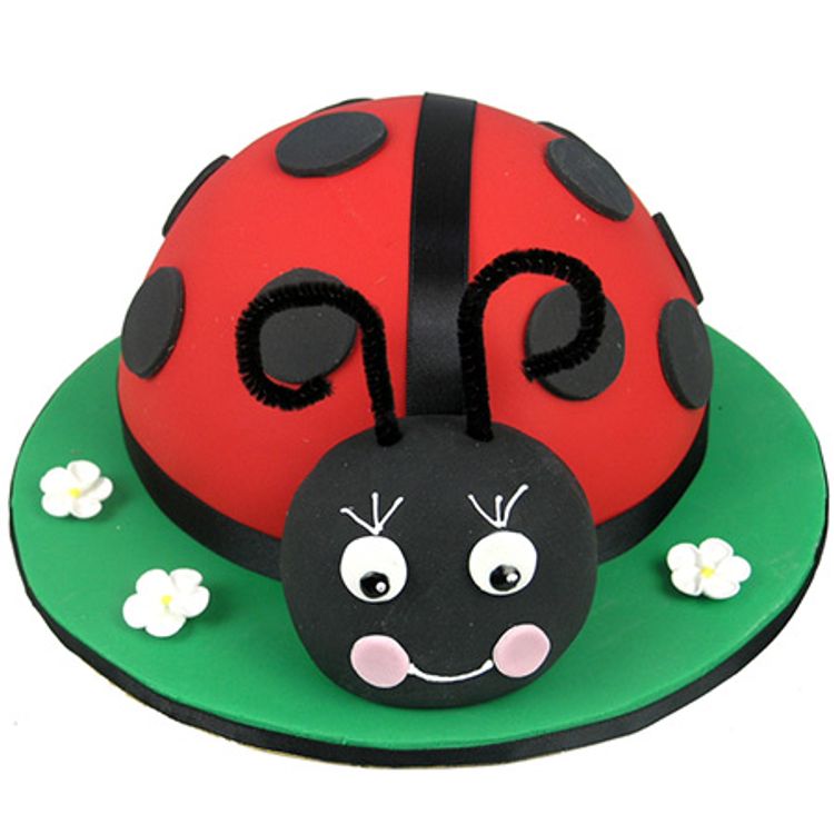 Ladybird Birthday Cake