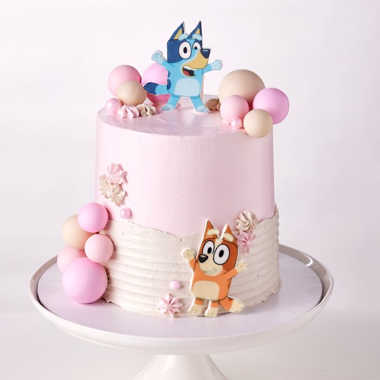 Bluey & Bingo Cake