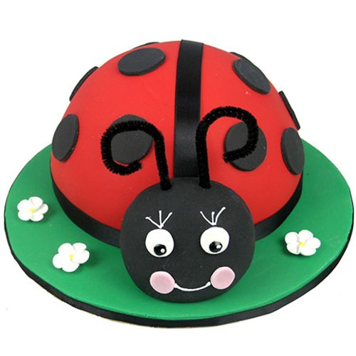 Ladybird Birthday Cake